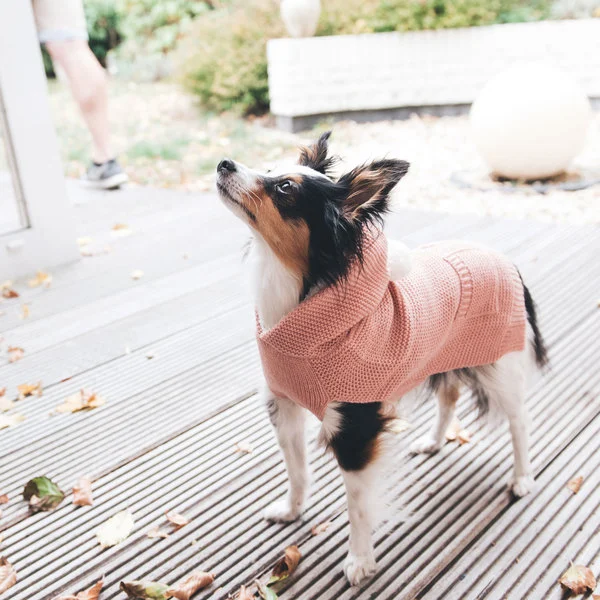 Hunter Röglatrøje 30 Rosa